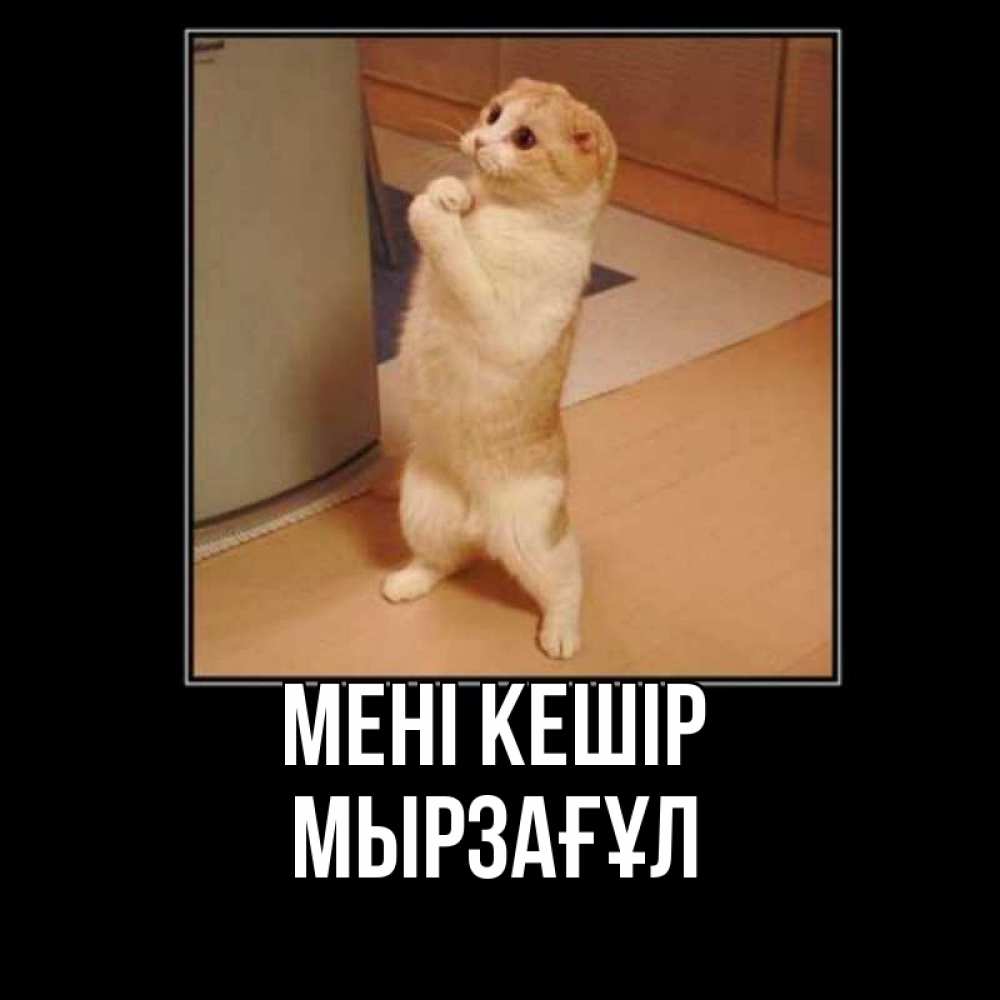 Күн сайын ашық хат с именем, Мырзағұл Мені кешір открытка с милым несчастным котиком просящим прощения Онлайн тегін жүктеп алу тілектері бар керемет карта 