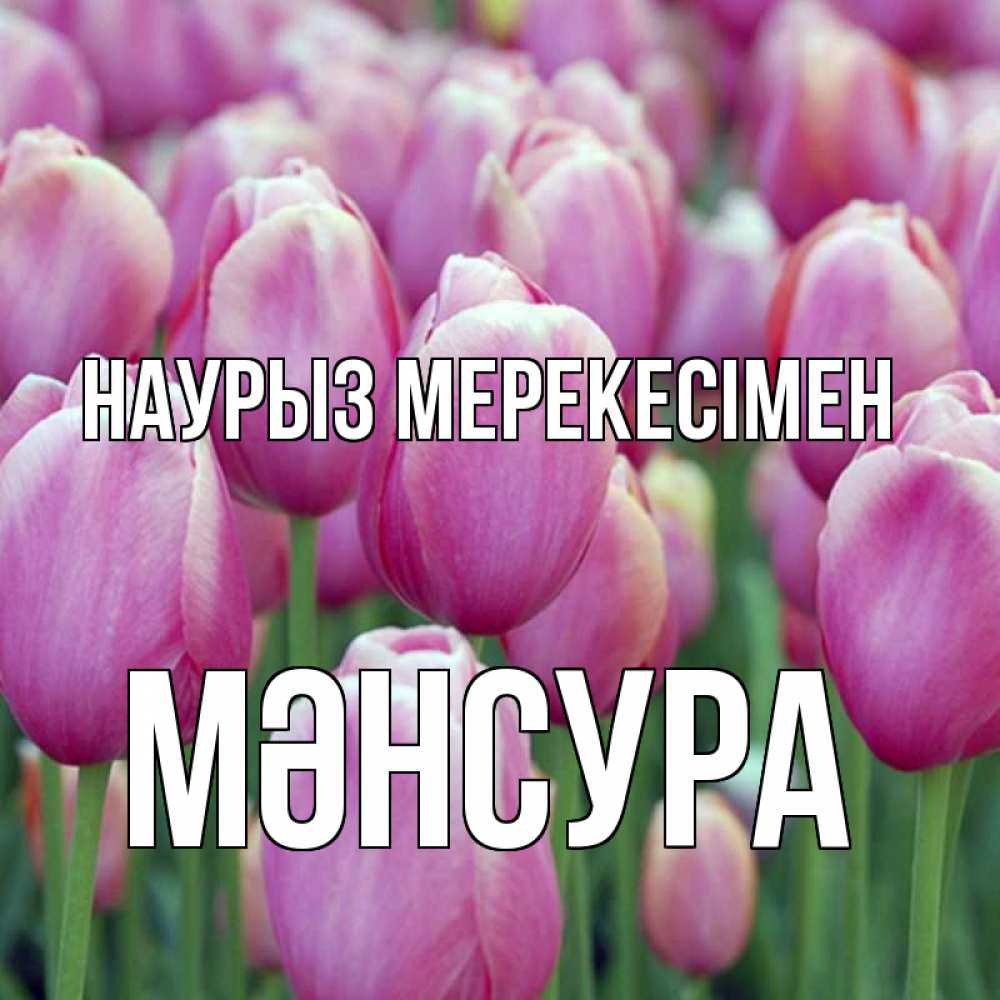 Күн сайын ашық хат с именем, МӘНСУРА Наурыз мерекесімен праздник весны наурыз 69 Онлайн тегін жүктеп алу тілектері бар керемет карта 
