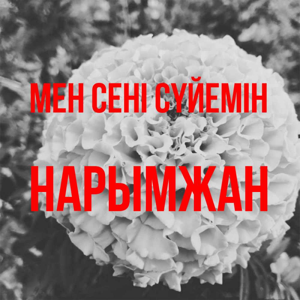 Күн сайын ашық хат с именем, НАРЫМЖАН Мен сені сүйемін подпись Онлайн тегін жүктеп алу тілектері бар керемет карта 