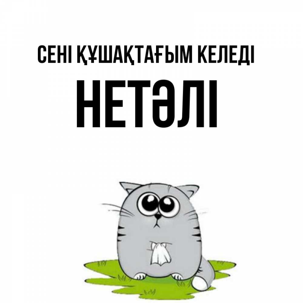 Күн сайын ашық хат с именем, НЕТӘЛІ сені құшақтағым келеді котик теребит платочек сидя на травке Онлайн тегін жүктеп алу тілектері бар керемет карта 