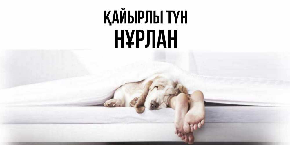 Күн сайын ашық хат с именем, НҰРЛАН Қайырлы түн кровать с собакой пожелание сладких снов и спокойной ночи Онлайн тегін жүктеп алу тілектері бар керемет карта 