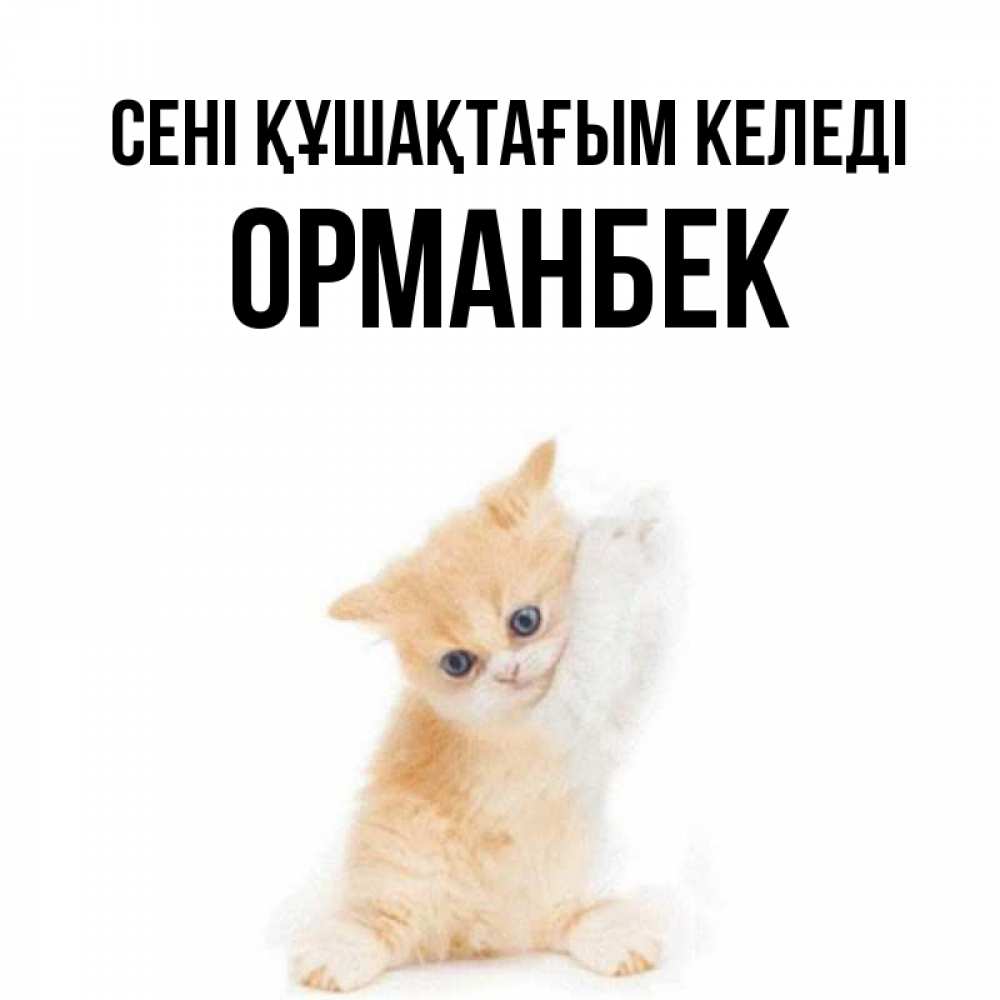 Күн сайын ашық хат с именем, ОРМАНБЕК сені құшақтағым келеді я хочу очень скорее обнимаешек Онлайн тегін жүктеп алу тілектері бар керемет карта 
