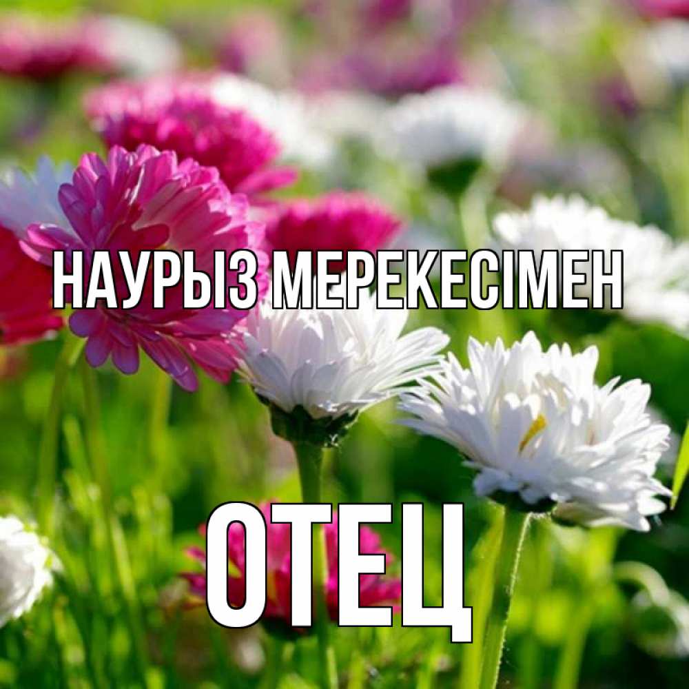 Күн сайын ашық хат с именем, Отец Наурыз мерекесімен праздник весны наурыз красота Онлайн тегін жүктеп алу тілектері бар керемет карта 
