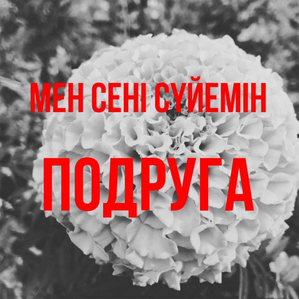 Күн сайын ашық хат с именем, Подруга Мен сені сүйемін подпись Онлайн тегін жүктеп алу тілектері бар керемет карта 