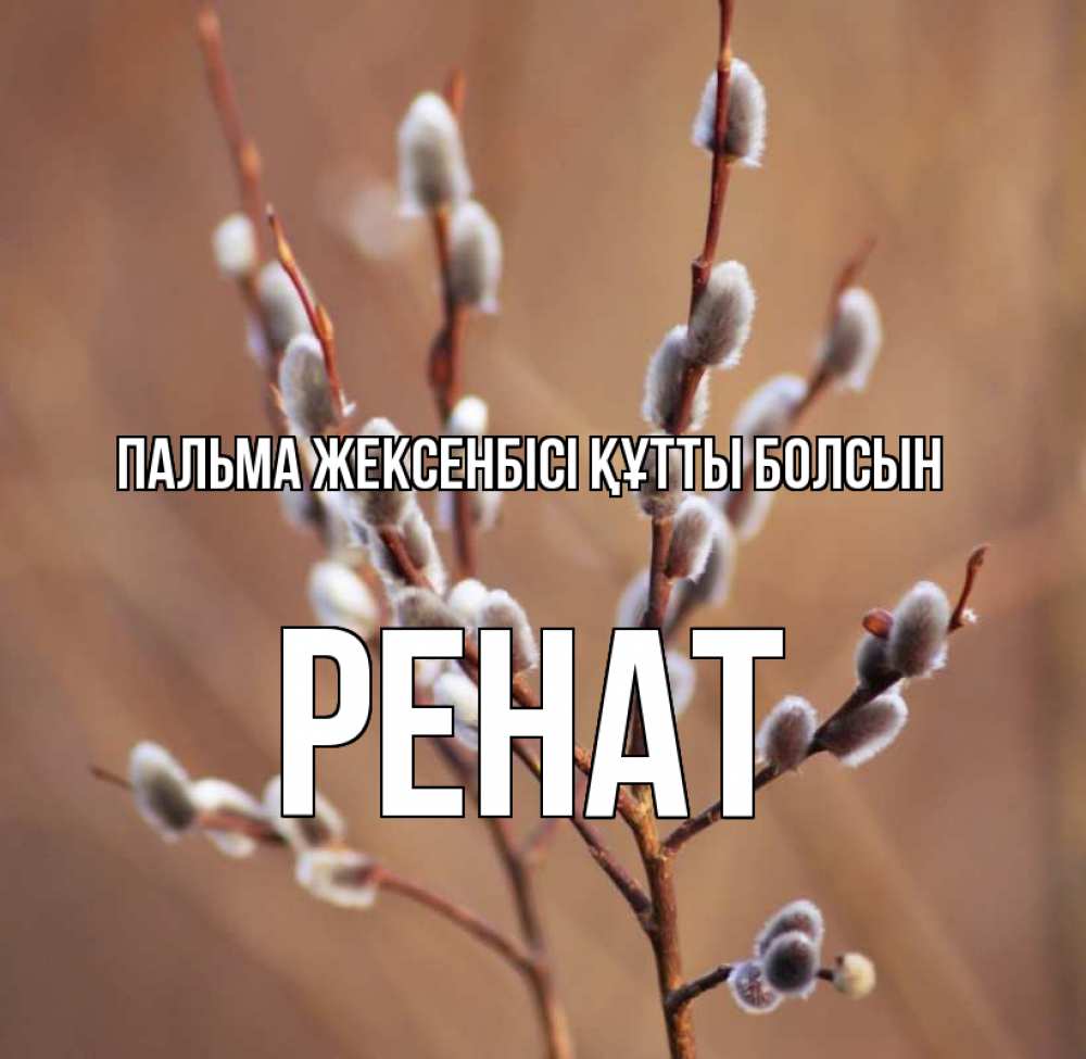 Күн сайын ашық хат с именем, РЕНАТ Пальма жексенбісі құтты болсын верба Онлайн тегін жүктеп алу тілектері бар керемет карта 