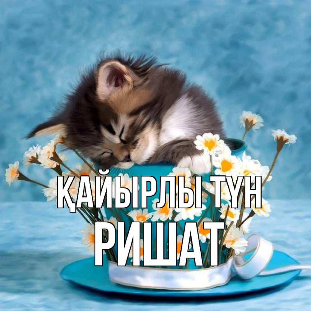 Күн сайын ашық хат с именем, РИШАТ Қайырлы түн котенок спит в кружке с блюдцем Онлайн тегін жүктеп алу тілектері бар керемет карта 