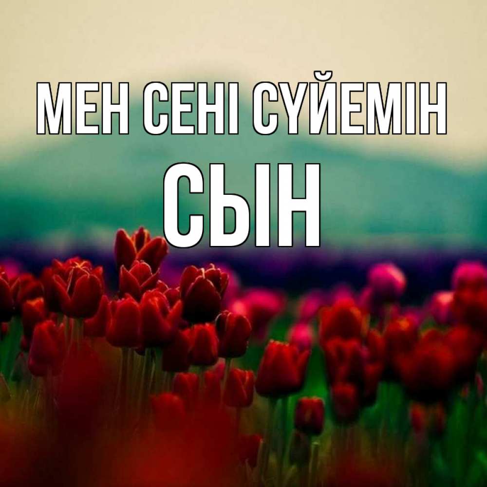 Күн сайын ашық хат с именем, Сын Мен сені сүйемін тюльпаны 4 Онлайн тегін жүктеп алу тілектері бар керемет карта 