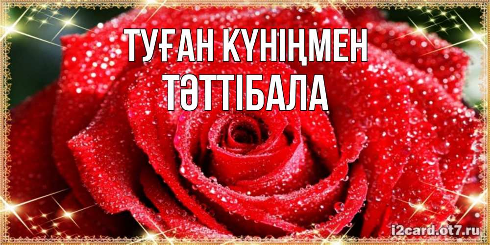 Күн сайын ашық хат с именем, ТӘТТІБАЛА Туған күніңмен роса и роза. открытка с красивой розой Онлайн тегін жүктеп алу тілектері бар керемет карта 