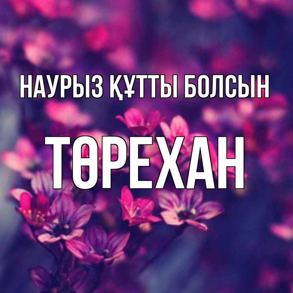 Күн сайын ашық хат с именем, Төрехан Наурыз құтты болсын небольшие цветы 1 Онлайн тегін жүктеп алу тілектері бар керемет карта 