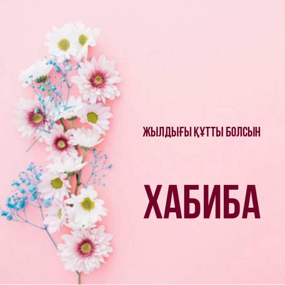 Күн сайын ашық хат с именем, ХАБИБА Жылдығы құтты болсын Родная моя с днем рождения тебя картинка с цветами белыми и голубыми Онлайн тегін жүктеп алу тілектері бар керемет карта 