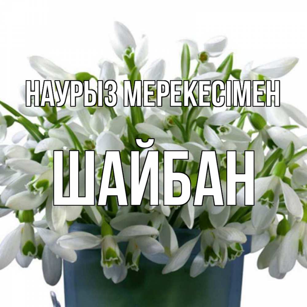 Күн сайын ашық хат с именем, ШАЙБАН Наурыз мерекесімен цветы к наурызу новый год в Казахстане Онлайн тегін жүктеп алу тілектері бар керемет карта 