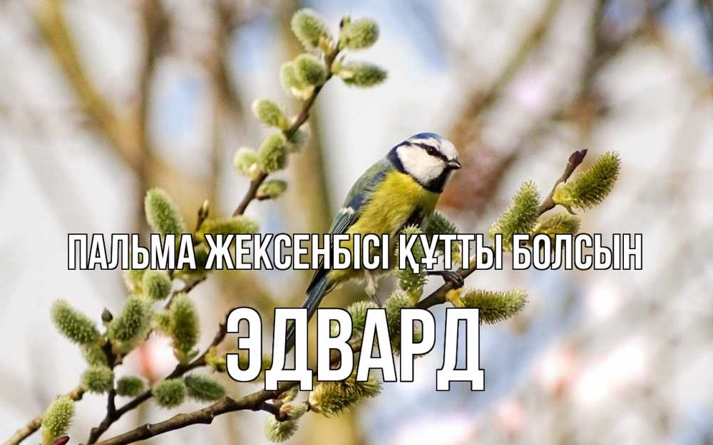 Күн сайын ашық хат с именем, Эдвард Пальма жексенбісі құтты болсын верба Онлайн тегін жүктеп алу тілектері бар керемет карта 