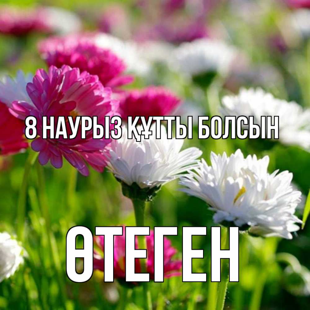 Күн сайын ашық хат с именем, ӨТЕГЕН 8 наурыз құтты болсын международный женский день 1 Онлайн тегін жүктеп алу тілектері бар керемет карта 