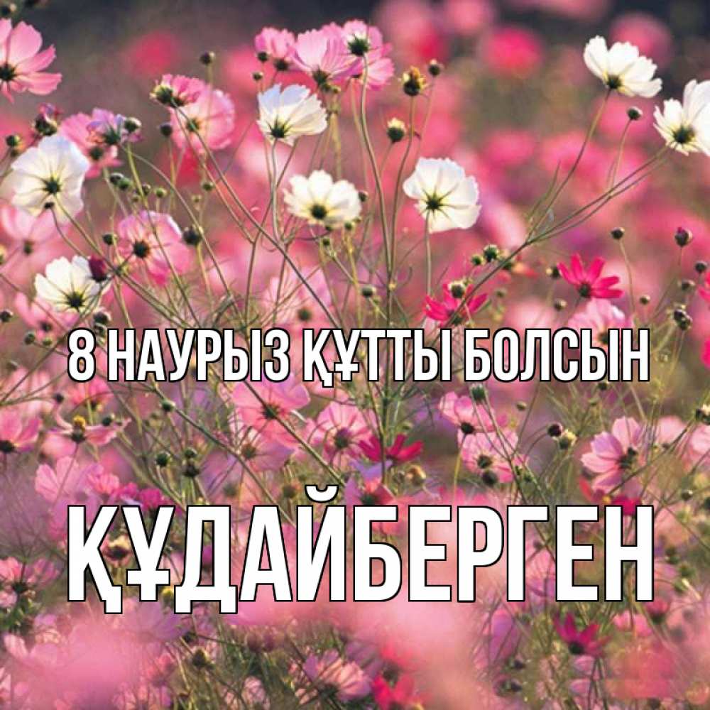 Күн сайын ашық хат с именем, ҚҰДАЙБЕРГЕН 8 наурыз құтты болсын красиво 1 Онлайн тегін жүктеп алу тілектері бар керемет карта 