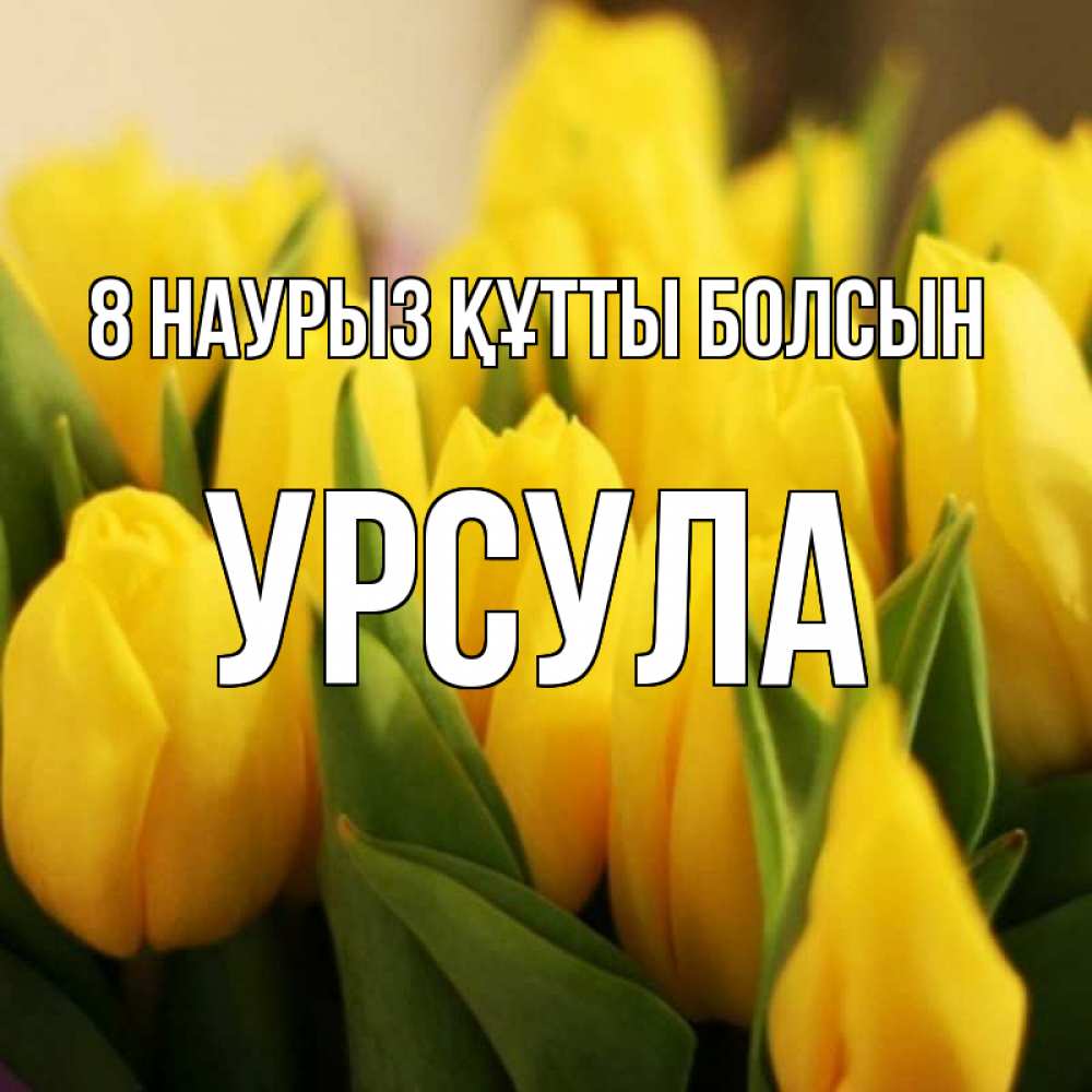 Күн сайын ашық хат с именем, Урсула 8 наурыз құтты болсын цветы Онлайн тегін жүктеп алу тілектері бар керемет карта 