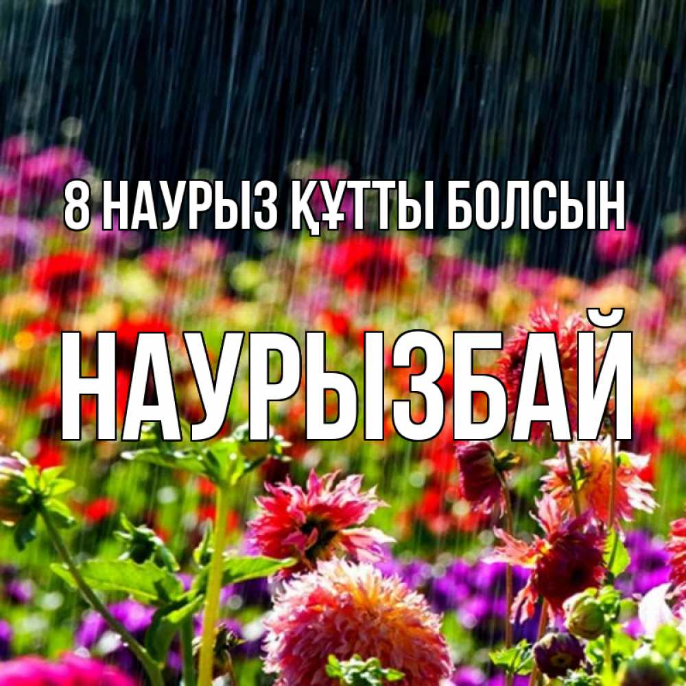 Күн сайын ашық хат с именем, Наурызбай 8 наурыз құтты болсын цветы под дождиком к международному женскому дню Онлайн тегін жүктеп алу тілектері бар керемет карта 