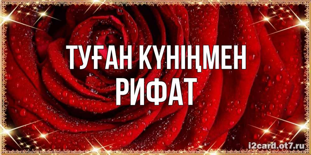 Күн сайын ашық хат с именем, Рифат Туған күніңмен роса на розе блестящая в лучах солнца Онлайн тегін жүктеп алу тілектері бар керемет карта 