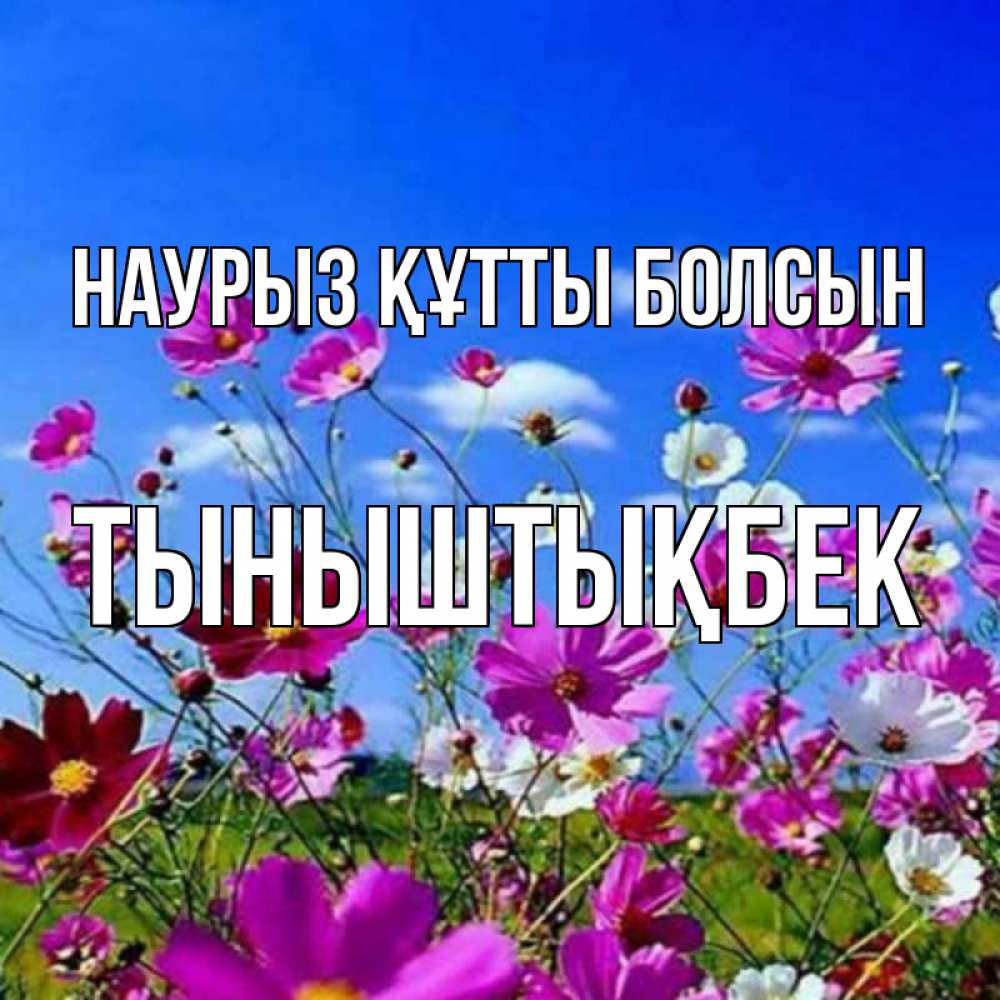 Күн сайын ашық хат с именем, ТЫНЫШТЫҚБЕК Наурыз құтты болсын цветы Онлайн тегін жүктеп алу тілектері бар керемет карта 