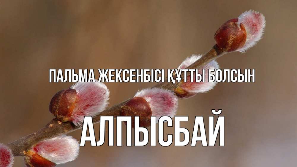 Күн сайын ашық хат с именем, Алпысбай Пальма жексенбісі құтты болсын верба Онлайн тегін жүктеп алу тілектері бар керемет карта 