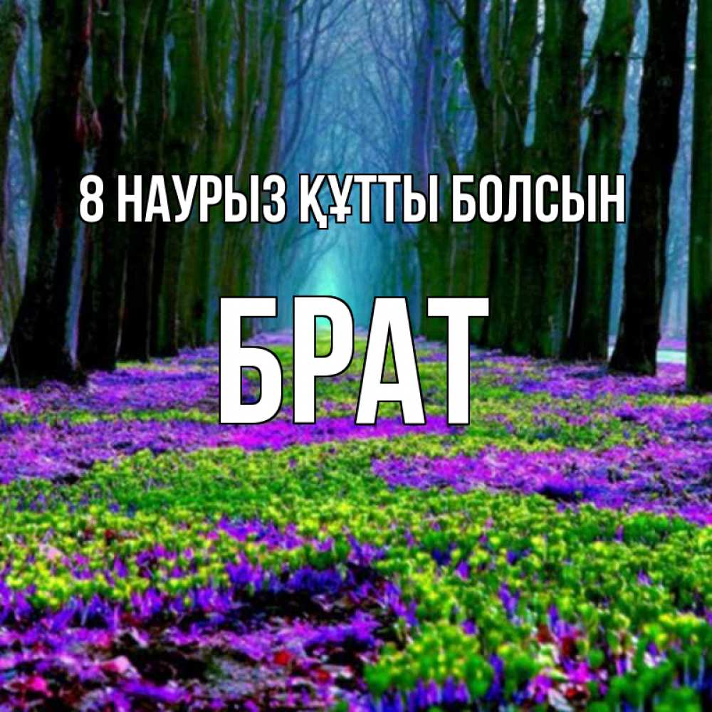 Күн сайын ашық хат с именем, Брат 8 наурыз құтты болсын фиолетовые цветы в лесу 1 Онлайн тегін жүктеп алу тілектері бар керемет карта 