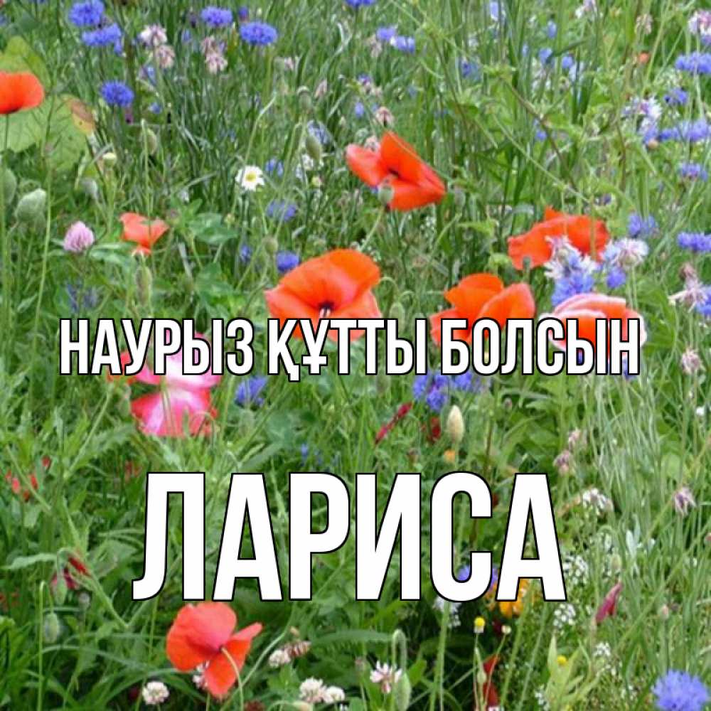 Күн сайын ашық хат с именем, Лариса Наурыз құтты болсын наурыз  4 Онлайн тегін жүктеп алу тілектері бар керемет карта 