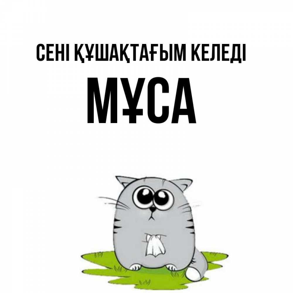 Күн сайын ашық хат с именем, МҰСА сені құшақтағым келеді котик теребит платочек сидя на травке Онлайн тегін жүктеп алу тілектері бар керемет карта 