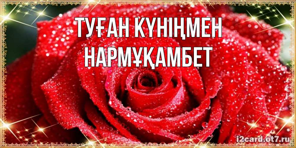 Күн сайын ашық хат с именем, НАРМҰҚАМБЕТ Туған күніңмен роса и роза. открытка с красивой розой Онлайн тегін жүктеп алу тілектері бар керемет карта 