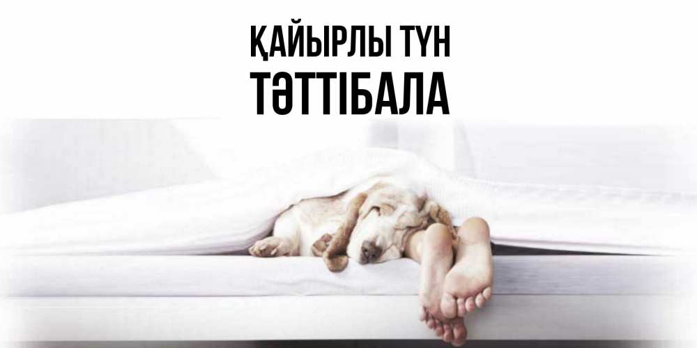 Күн сайын ашық хат с именем, ТӘТТІБАЛА Қайырлы түн кровать с собакой пожелание сладких снов и спокойной ночи Онлайн тегін жүктеп алу тілектері бар керемет карта 