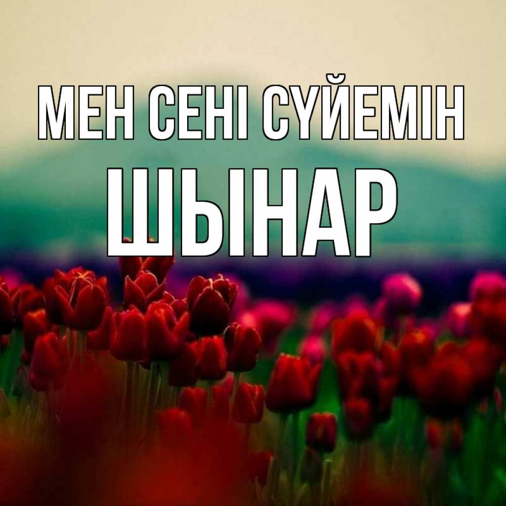 Күн сайын ашық хат с именем, ШЫНАР Мен сені сүйемін тюльпаны 4 Онлайн тегін жүктеп алу тілектері бар керемет карта 