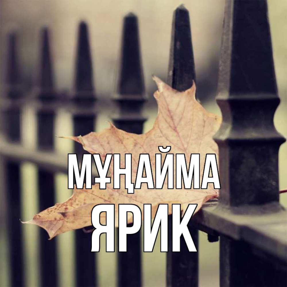 Күн сайын ашық хат с именем, Ярик Мұңайма лист клена Онлайн тегін жүктеп алу тілектері бар керемет карта 
