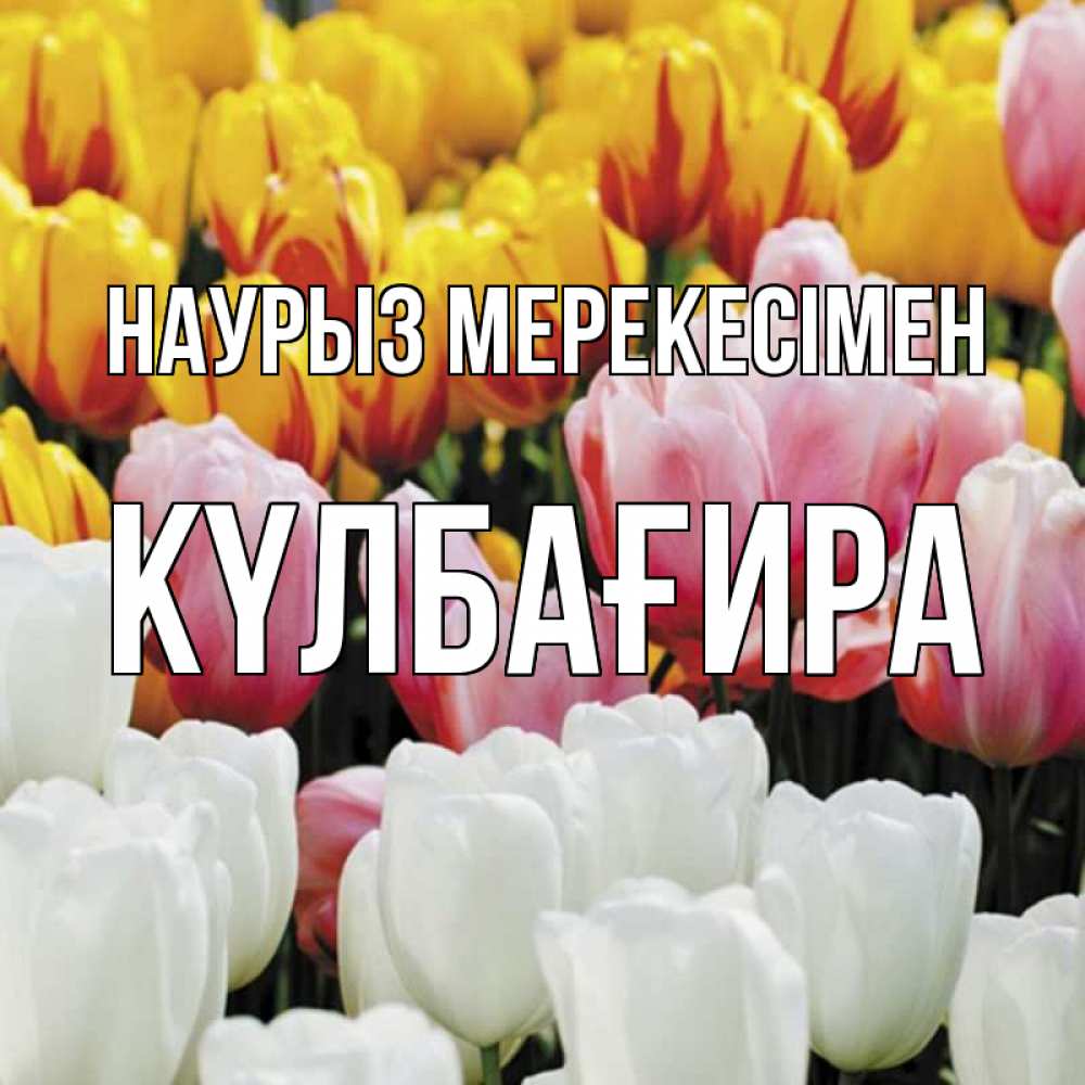 Күн сайын ашық хат с именем, КҮЛБАҒИРА Наурыз мерекесімен разноцветные цветы Онлайн тегін жүктеп алу тілектері бар керемет карта 