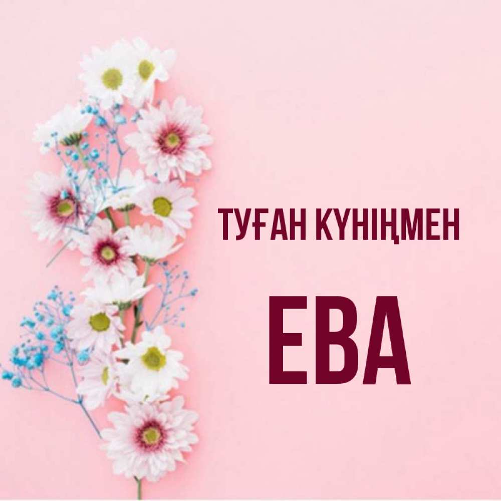 Күн сайын ашық хат с именем, Ева Туған күніңмен Родная моя с днем рождения тебя картинка с цветами белыми и голубыми Онлайн тегін жүктеп алу тілектері бар керемет карта 