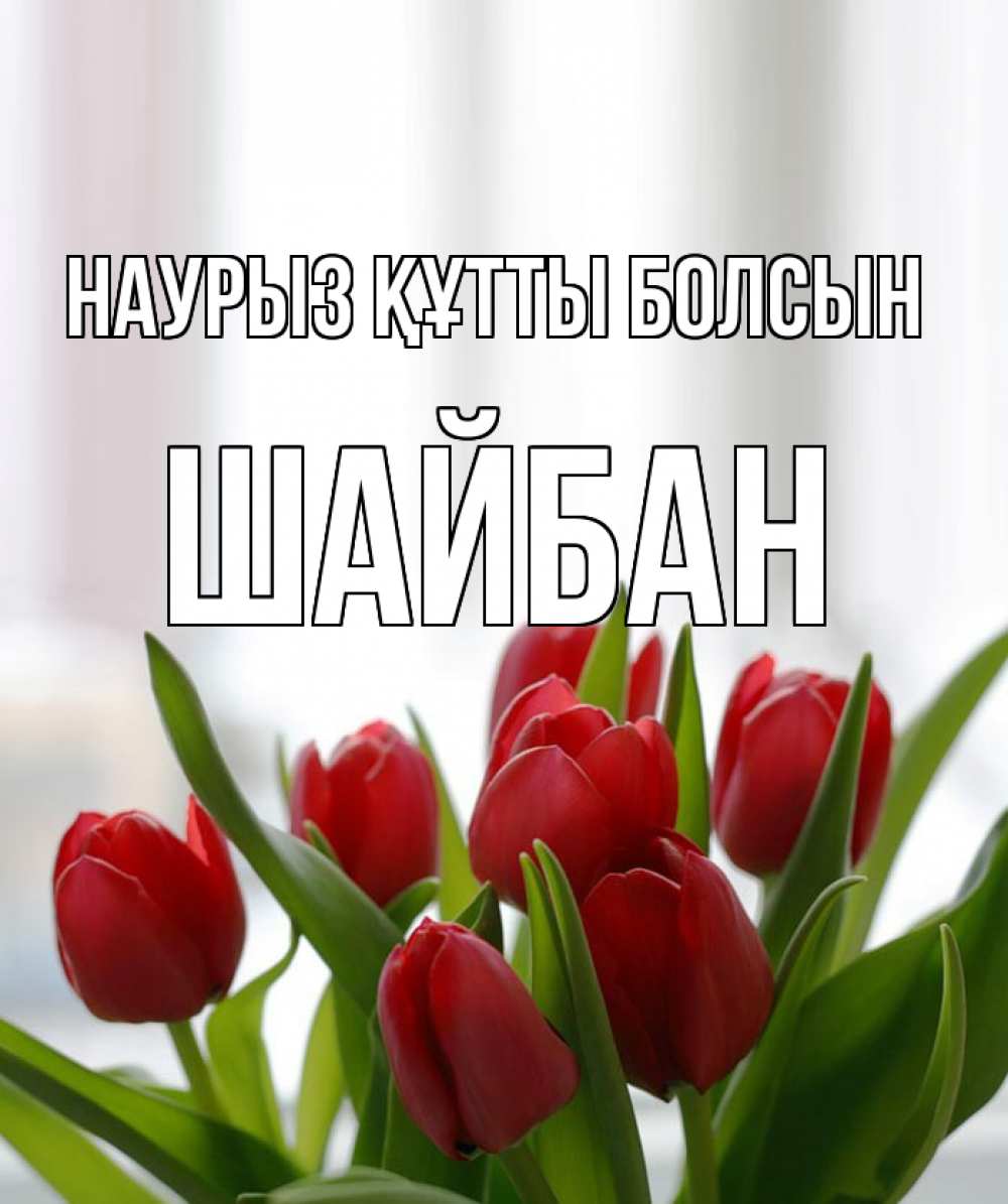 Күн сайын ашық хат с именем, ШАЙБАН Наурыз құтты болсын полевые цветы Онлайн тегін жүктеп алу тілектері бар керемет карта 