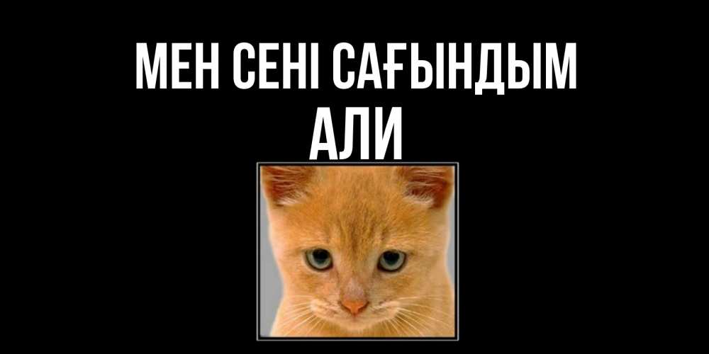 Күн сайын ашық хат с именем, Али Мен сені сағындым открытки рыжий котенок скучает по тебе Онлайн тегін жүктеп алу тілектері бар керемет карта 
