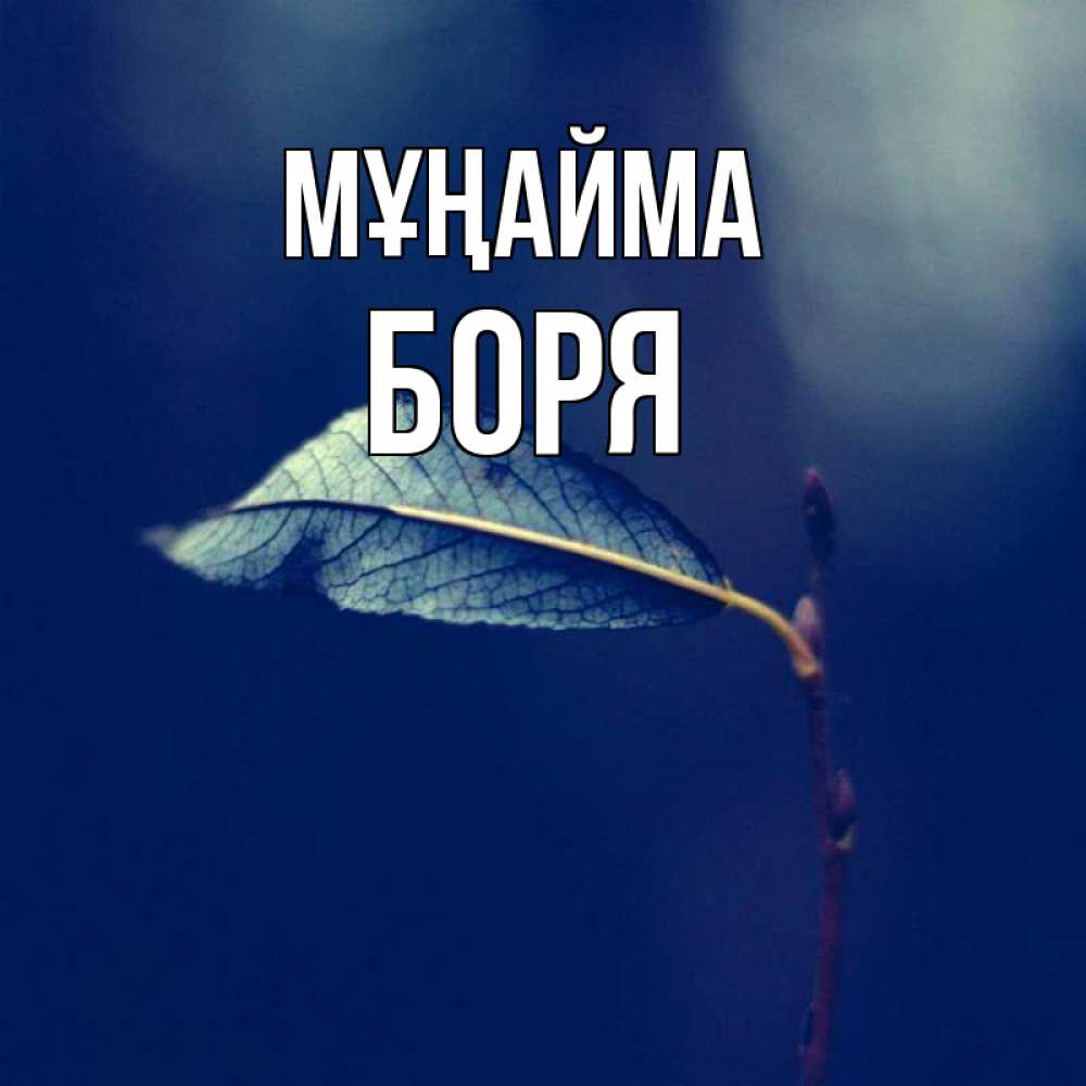 Күн сайын ашық хат с именем, Боря Мұңайма растение Онлайн тегін жүктеп алу тілектері бар керемет карта 