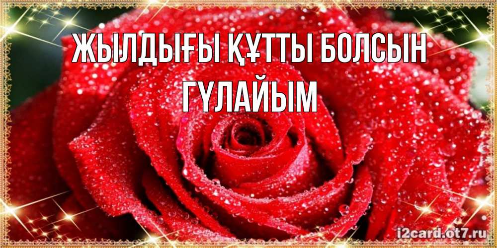 Күн сайын ашық хат с именем, ГҮЛАЙЫМ Жылдығы құтты болсын роса и роза. открытка с красивой розой Онлайн тегін жүктеп алу тілектері бар керемет карта 