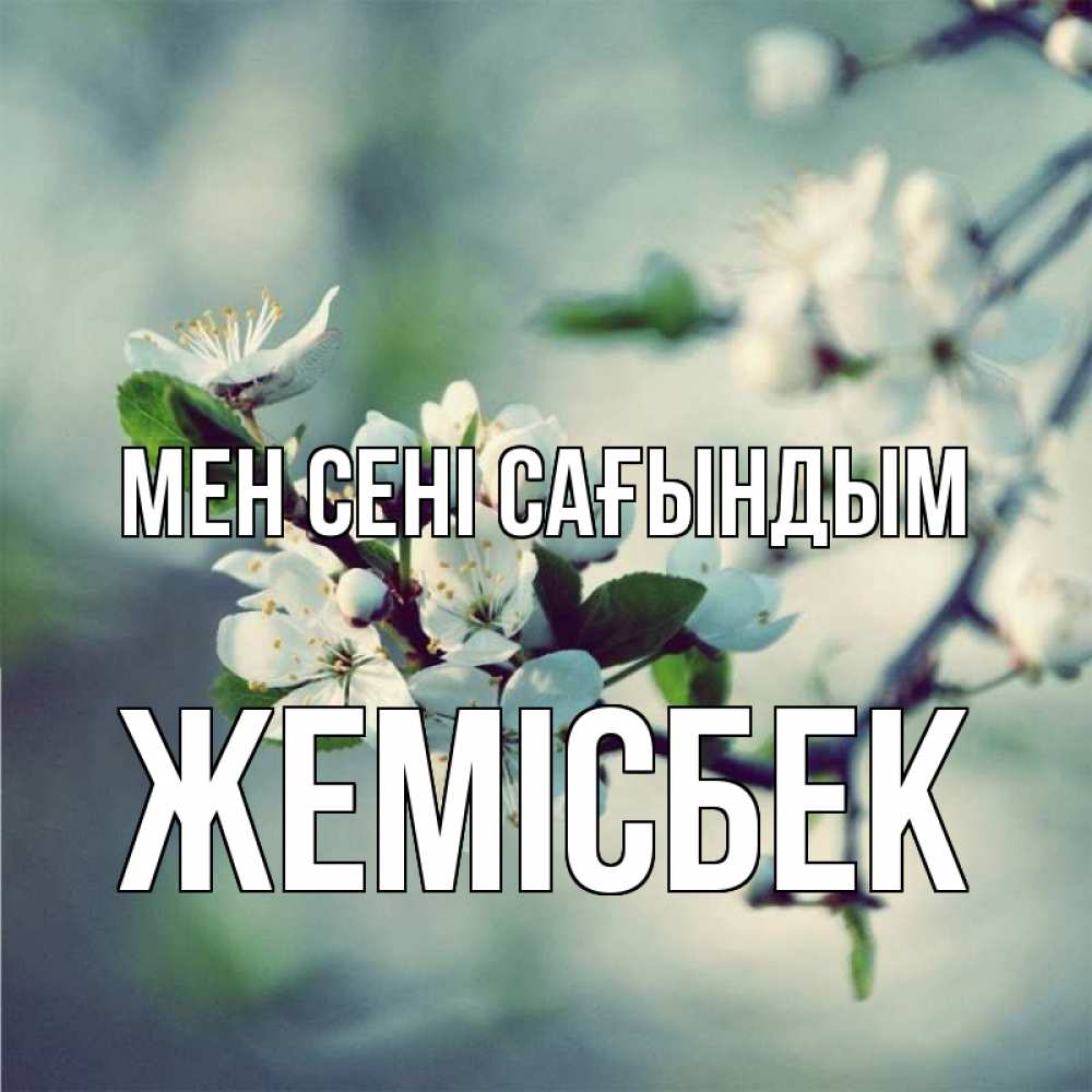 Күн сайын ашық хат с именем, Жемісбек Мен сені сағындым весна Онлайн тегін жүктеп алу тілектері бар керемет карта 