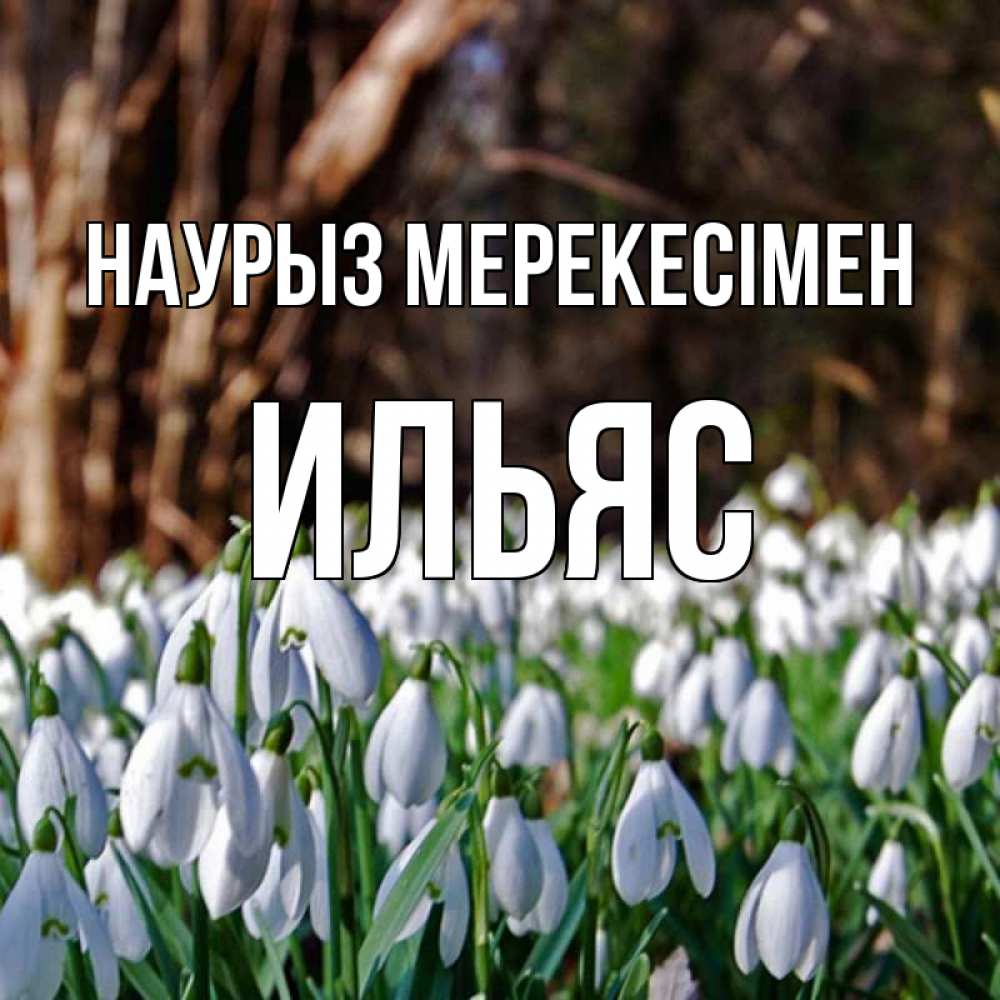 Күн сайын ашық хат с именем, Ильяс Наурыз мерекесімен с подснежниками 1 Онлайн тегін жүктеп алу тілектері бар керемет карта 