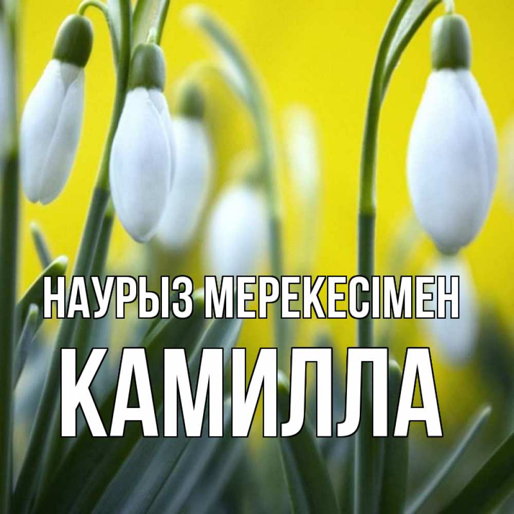 Күн сайын ашық хат с именем, Камилла Наурыз мерекесімен весенние цветы Онлайн тегін жүктеп алу тілектері бар керемет карта 