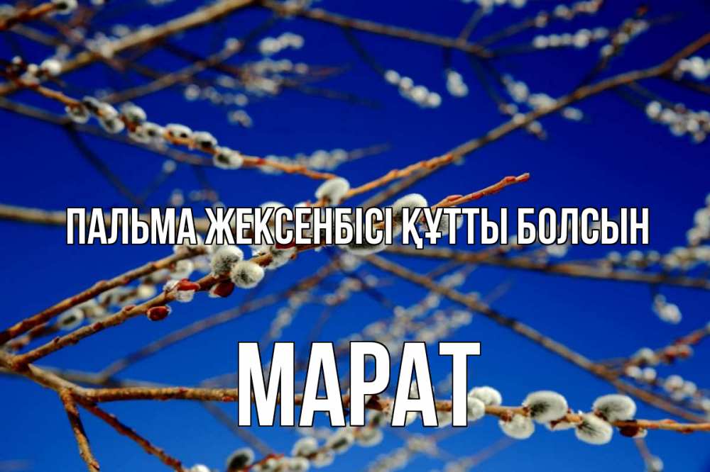 Күн сайын ашық хат с именем, МАРАТ Пальма жексенбісі құтты болсын верба Онлайн тегін жүктеп алу тілектері бар керемет карта 