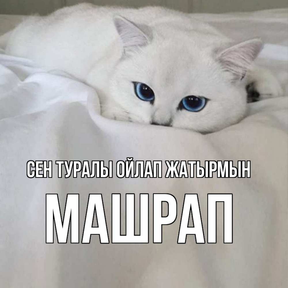 Күн сайын ашық хат с именем, МАШРАП Сен туралы ойлап жатырмын я очень по тебе скучаю и тоскую Онлайн тегін жүктеп алу тілектері бар керемет карта 