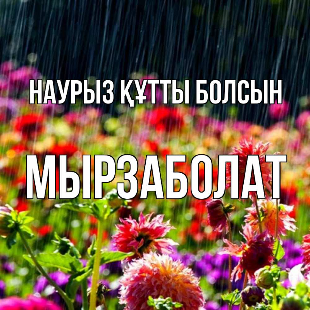 Күн сайын ашық хат с именем, Мырзаболат Наурыз құтты болсын цветы под дождиком к наурызу Онлайн тегін жүктеп алу тілектері бар керемет карта 