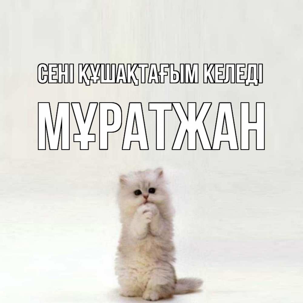 Күн сайын ашық хат с именем, Мұратжан сені құшақтағым келеді открытки с креативными подписями Онлайн тегін жүктеп алу тілектері бар керемет карта 