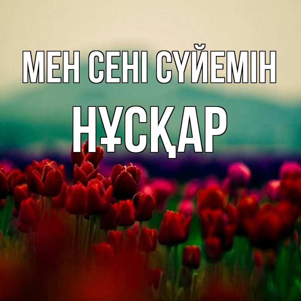Күн сайын ашық хат с именем, НҰСҚАР Мен сені сүйемін тюльпаны 4 Онлайн тегін жүктеп алу тілектері бар керемет карта 
