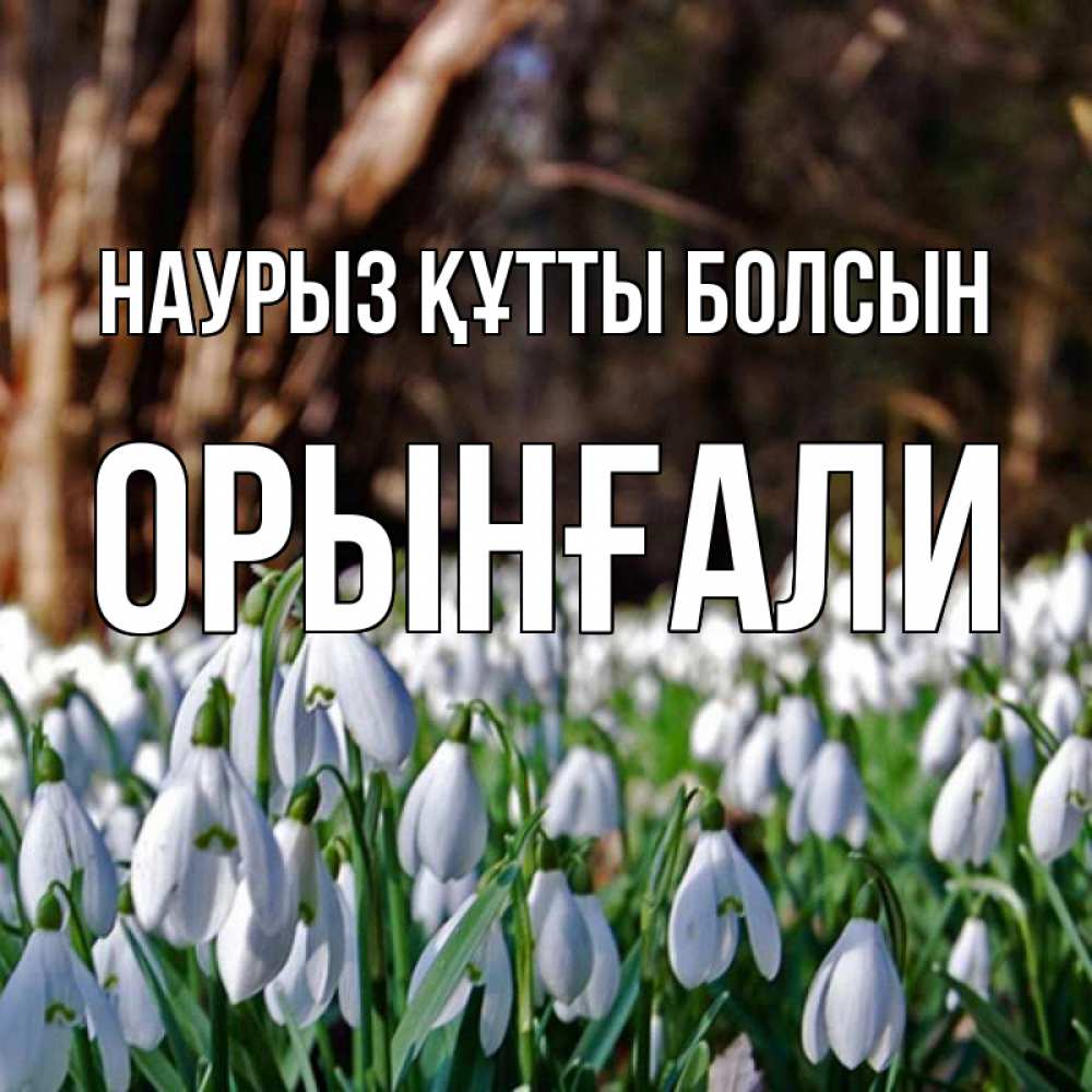 Күн сайын ашық хат с именем, ОРЫНҒАЛИ Наурыз құтты болсын с подснежниками 1 Онлайн тегін жүктеп алу тілектері бар керемет карта 