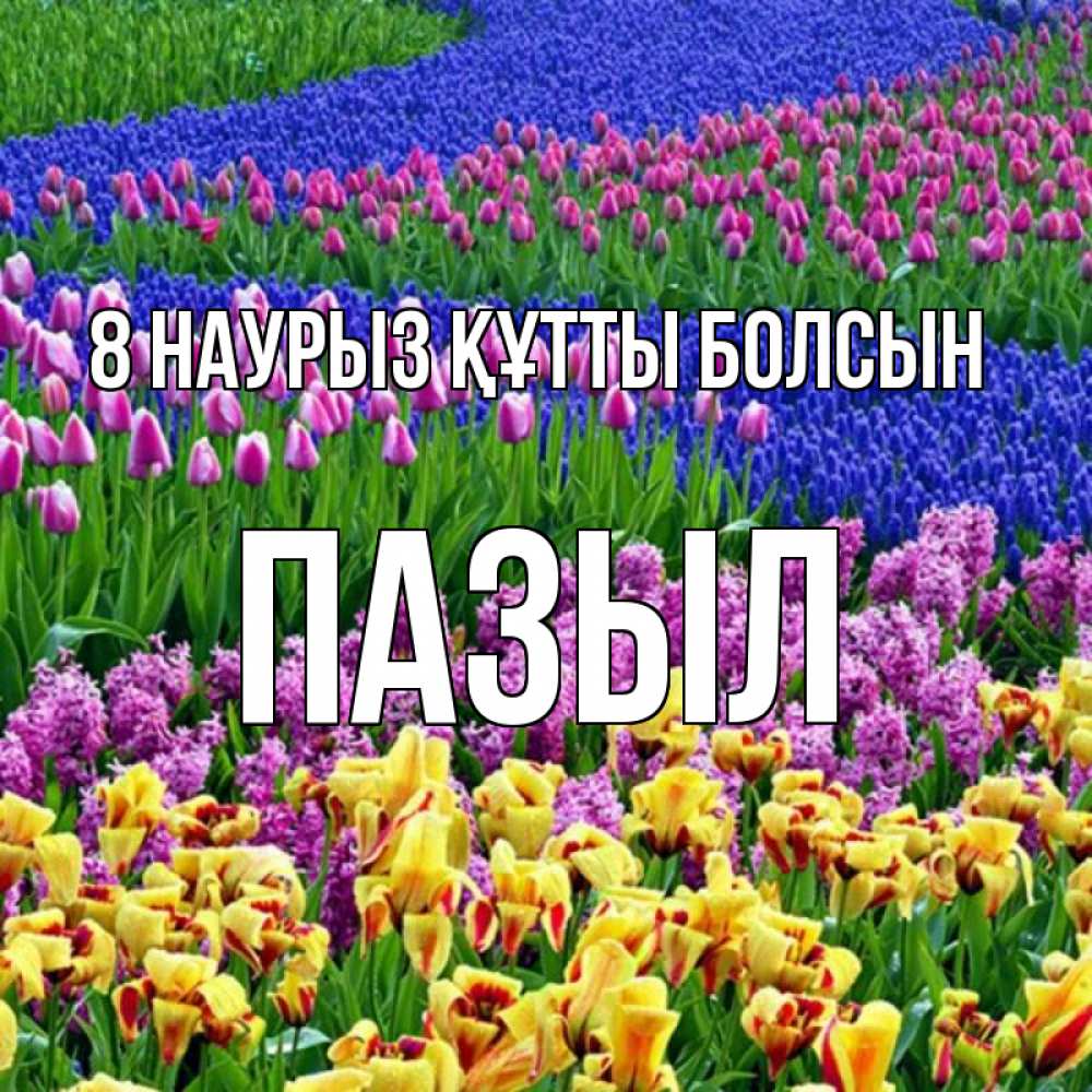 Күн сайын ашық хат с именем, ПАЗЫЛ 8 наурыз құтты болсын цветы Онлайн тегін жүктеп алу тілектері бар керемет карта 