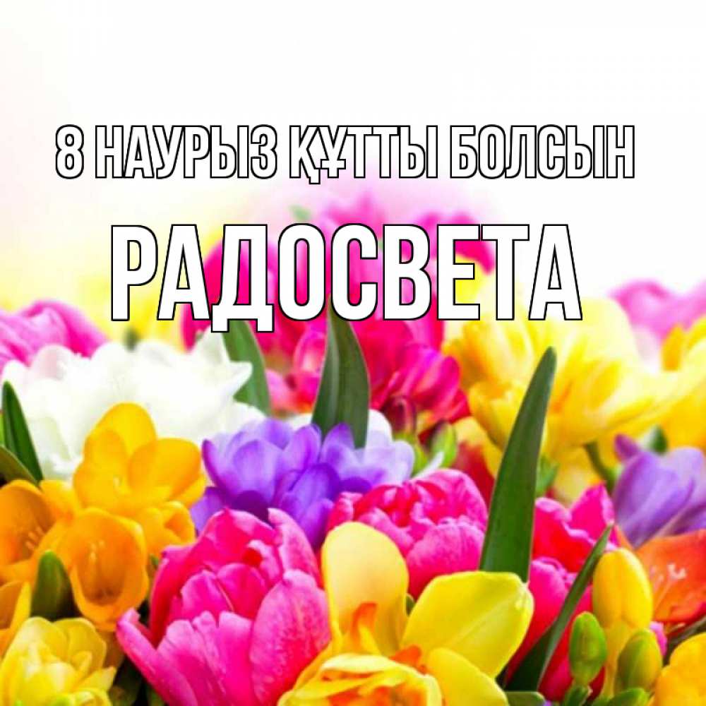 Күн сайын ашық хат с именем, Радосвета 8 наурыз құтты болсын тюльпаны Онлайн тегін жүктеп алу тілектері бар керемет карта 