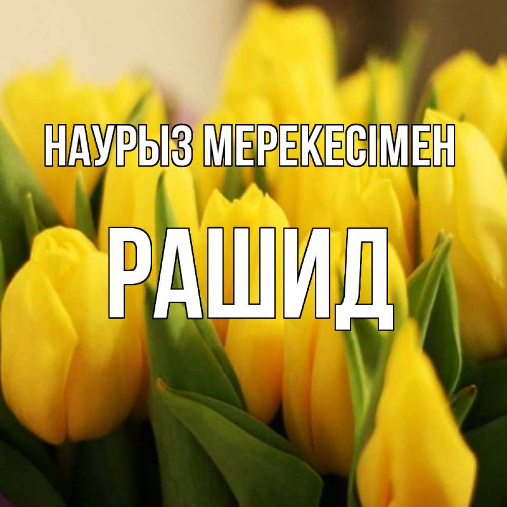 Күн сайын ашық хат с именем, Рашид Наурыз мерекесімен цветы Онлайн тегін жүктеп алу тілектері бар керемет карта 