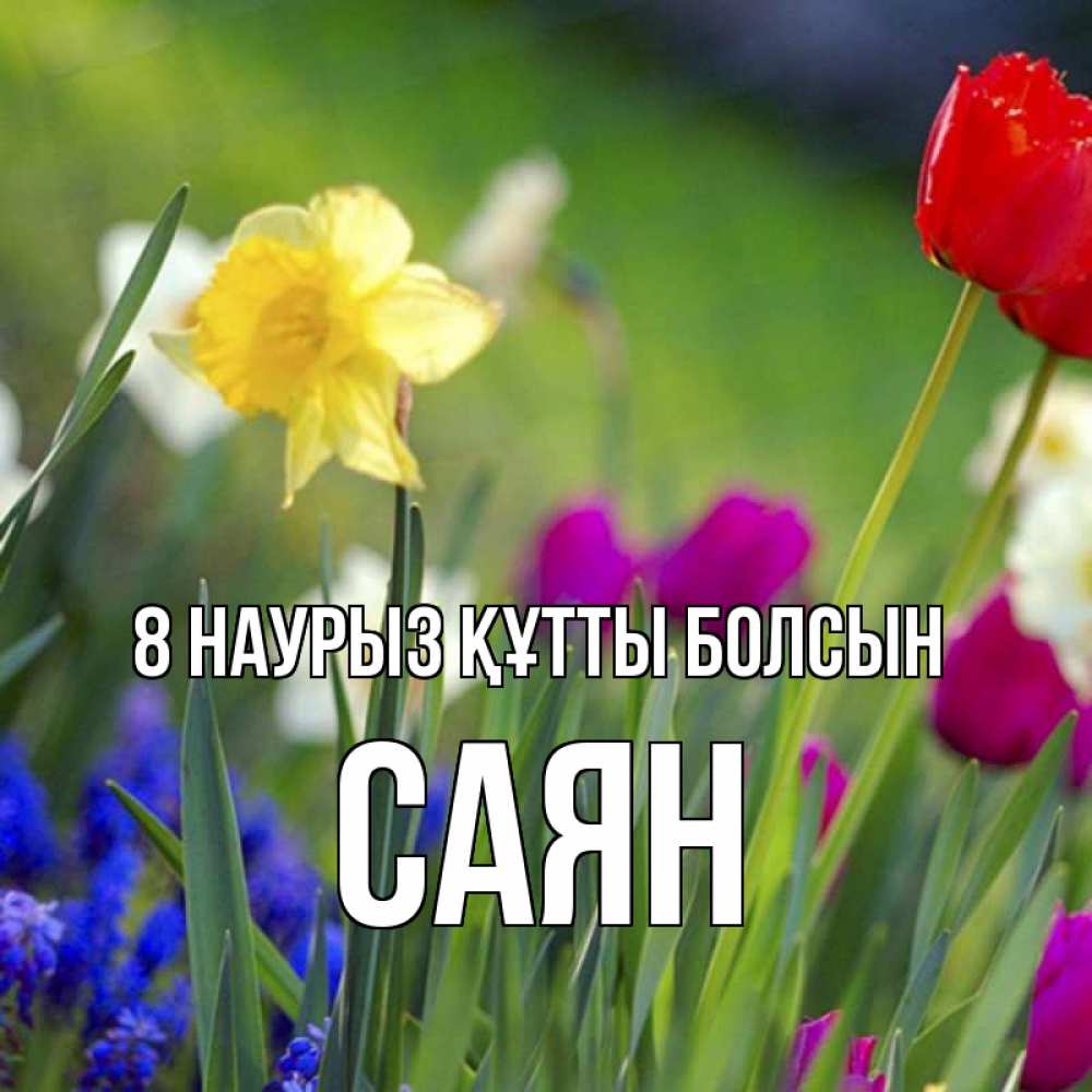 Күн сайын ашық хат с именем, САЯН 8 наурыз құтты болсын международный женский день 3 Онлайн тегін жүктеп алу тілектері бар керемет карта 