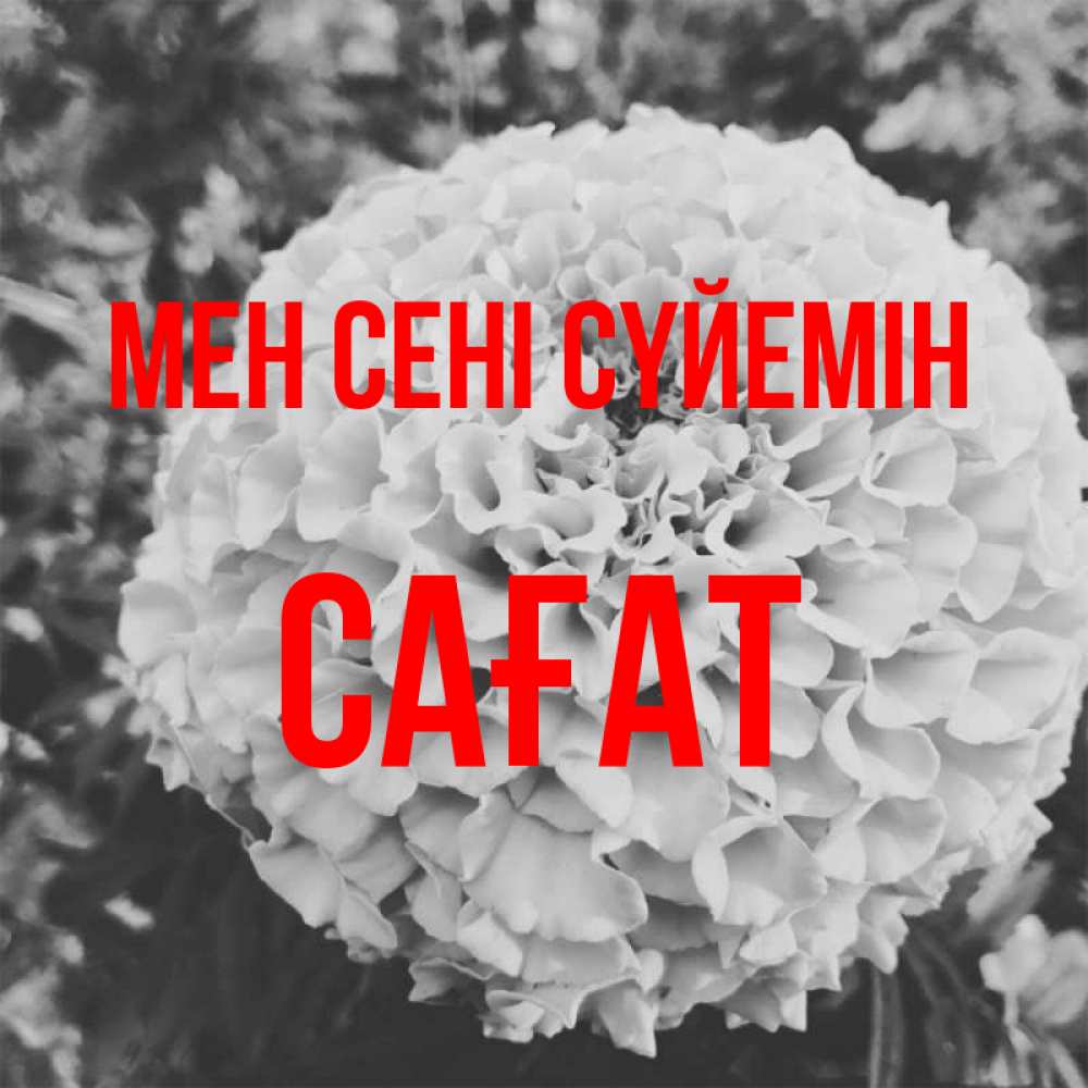 Күн сайын ашық хат с именем, САҒАТ Мен сені сүйемін подпись Онлайн тегін жүктеп алу тілектері бар керемет карта 